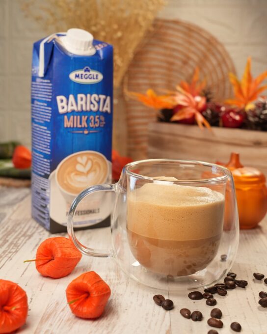 LAPTELE BARISTA DE LA MEGGLE